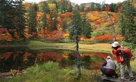 Autumn Reflection: A spectacular display of fall colors entrance Japanese nature lovers.